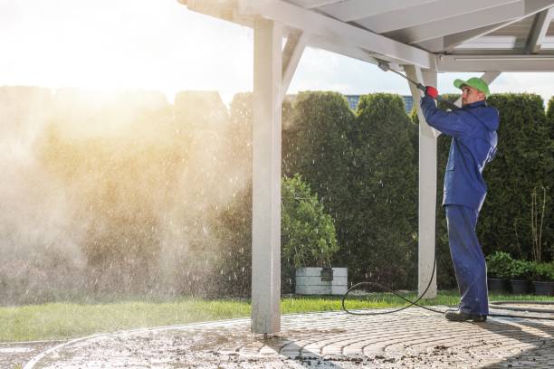 Best Solar Panel Cleaning  in Neodesha, KS