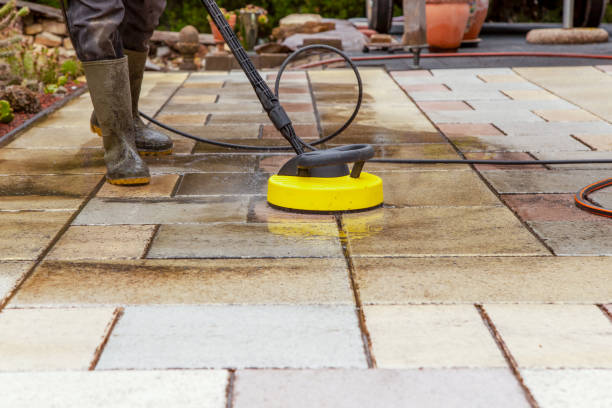 Best Dumpster Area Cleaning  in Neodesha, KS
